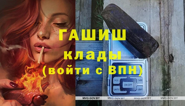 стаф Абаза