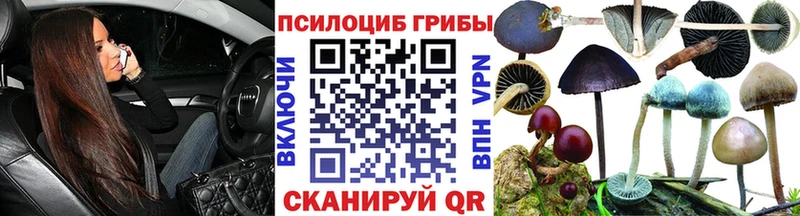 Псилоцибиновые грибы Psilocybine cubensis продажа наркотиков Калачинск